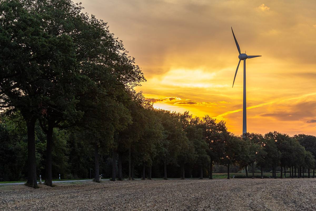 Větrná elektrárna nad polem u vesnice při východu slunce